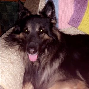 Meet your Posher, Layla